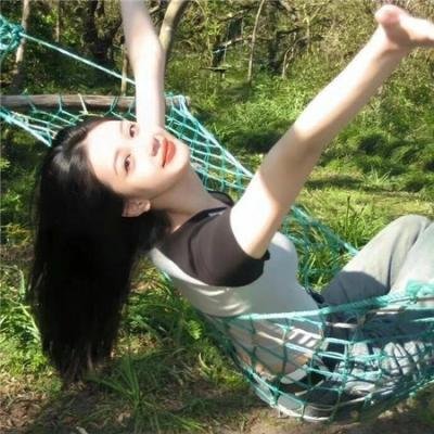 玩具熊的五夜后宫