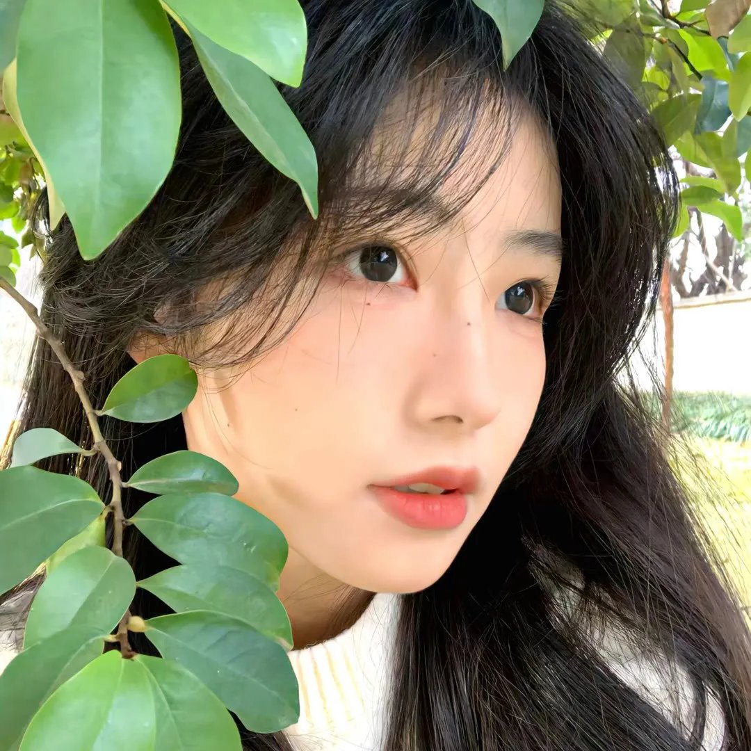 所有的猫都是灰色